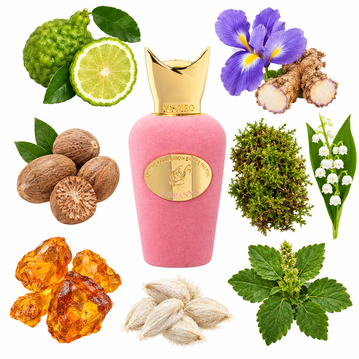Sospiro Vibranna Eau de Parfum with scent notes