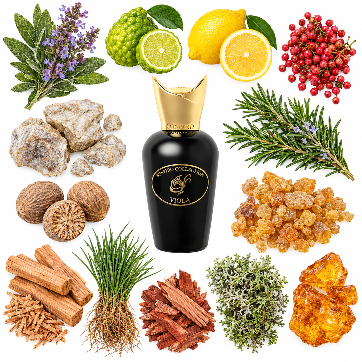 Sospiro Viola Eau de Parfum with scent notes
