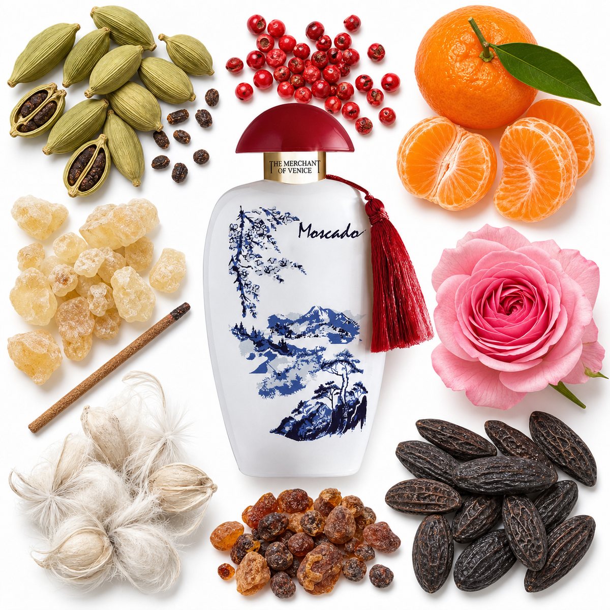 The Merchant of Venice Moscado Eau de Parfum with scent notes