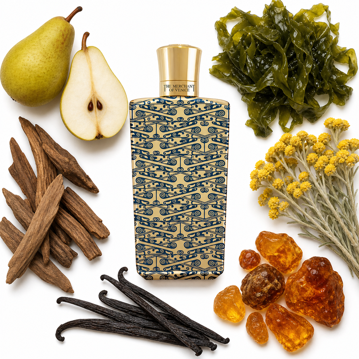 The Merchant of Venice Nobil Homo Gold Regatta Eau de Parfum with scent notes