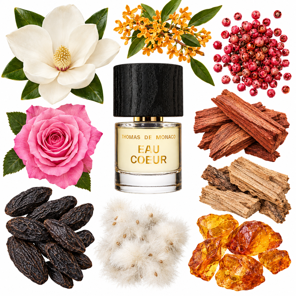 Thomas de Monaco Eau Coeur Extrait de Parfum with scent notes