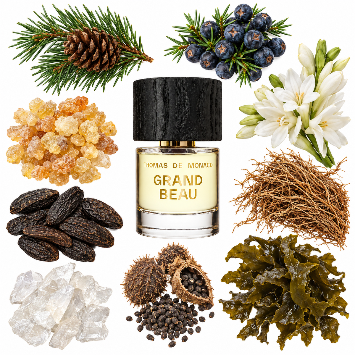 Thomas de Monaco Grand Beau Extrait de Parfum with scent notes