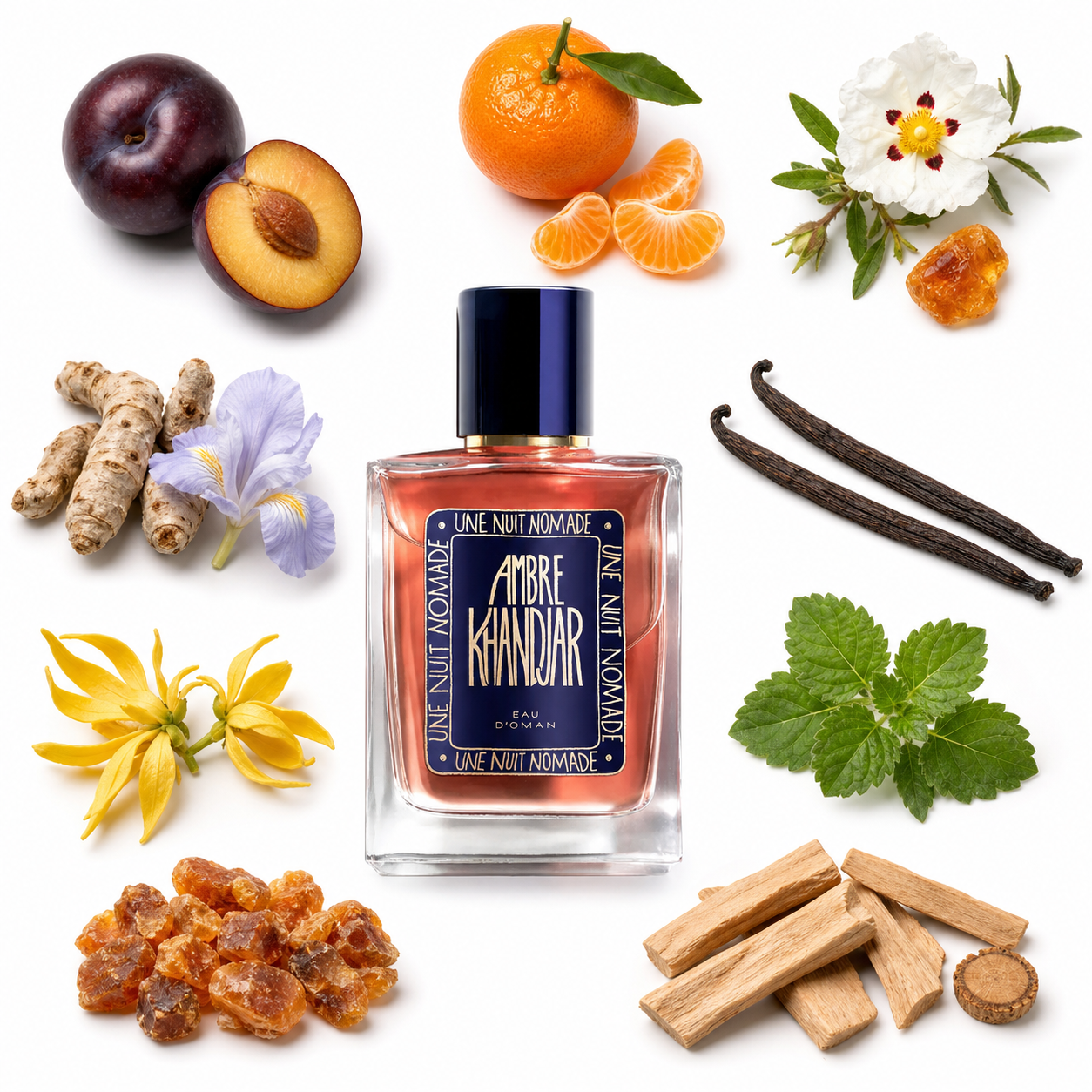 Une Nuit Nomade Ambre Khandjar Eau de Parfum 100 ml with scent notes