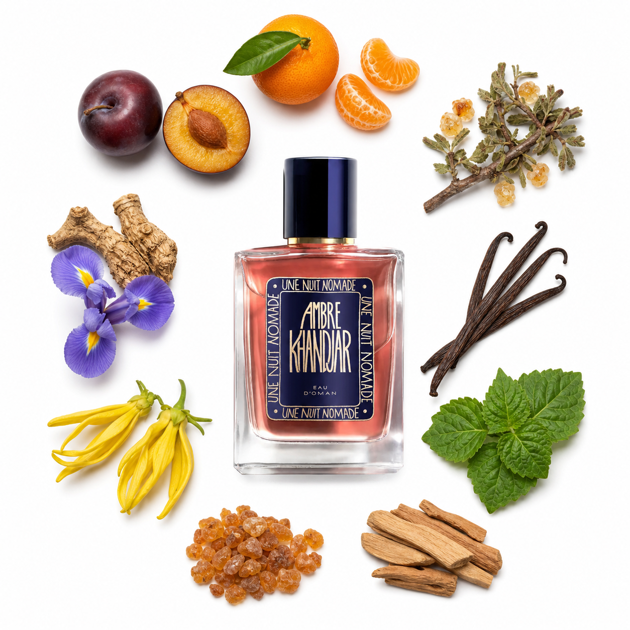 Une Nuit Nomade Ambre Khandjar Eau de Parfum 50 ml with scent notes