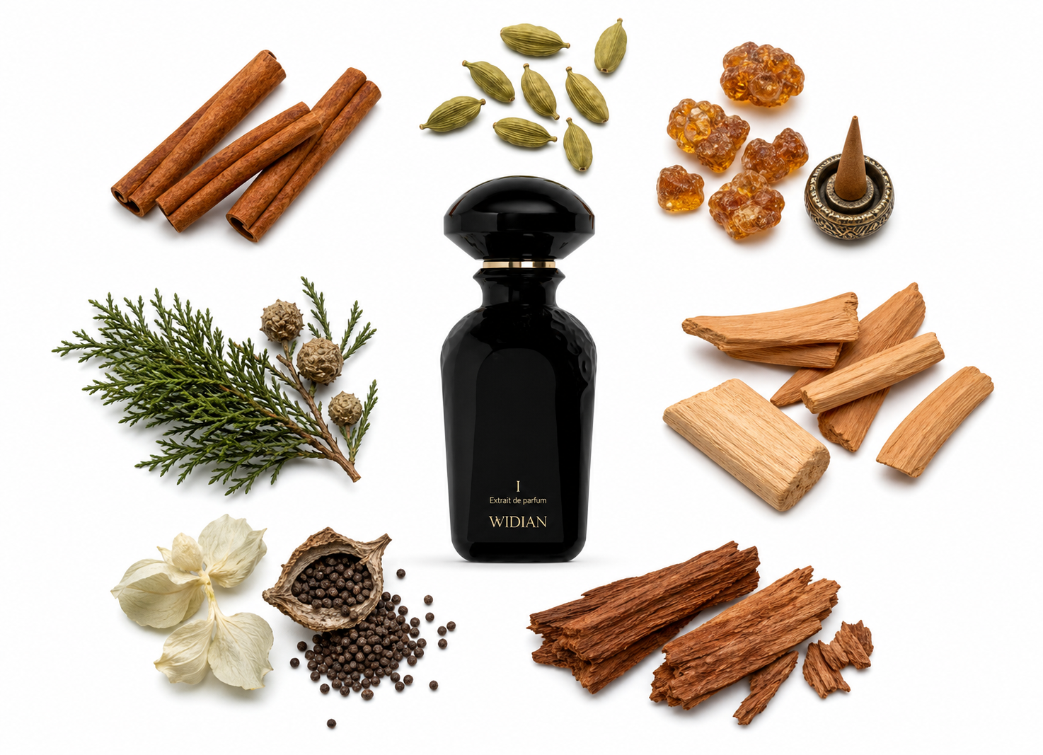 Widian Black I Extrait de Parfum with scent notes