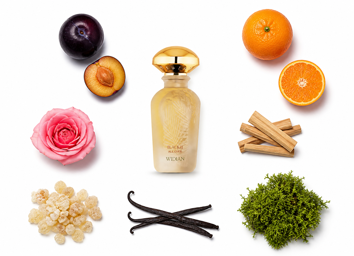 Widian Black II All Over Spray 50 ml with scent notes
