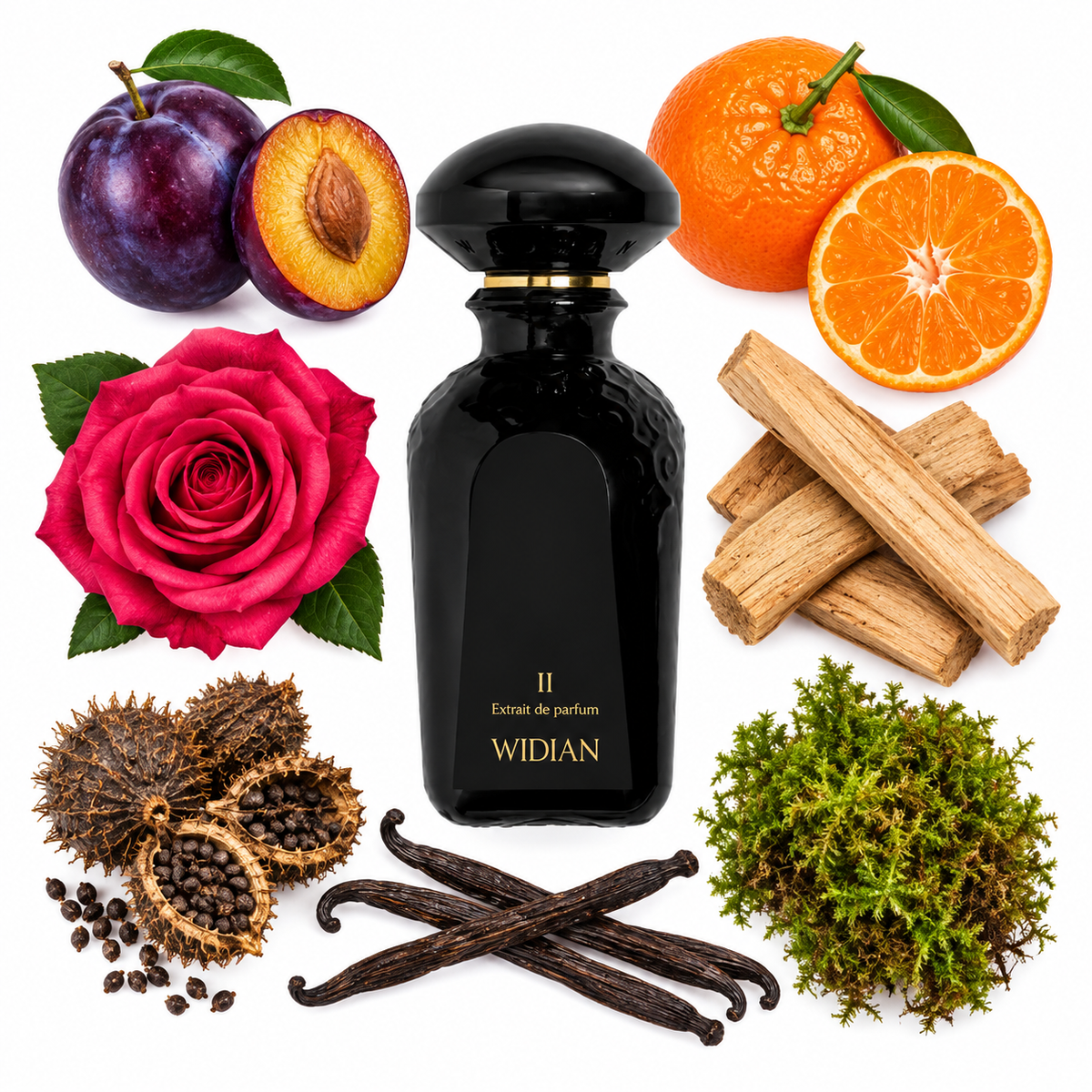 Widian Black II Extrait de Parfum with scent notes