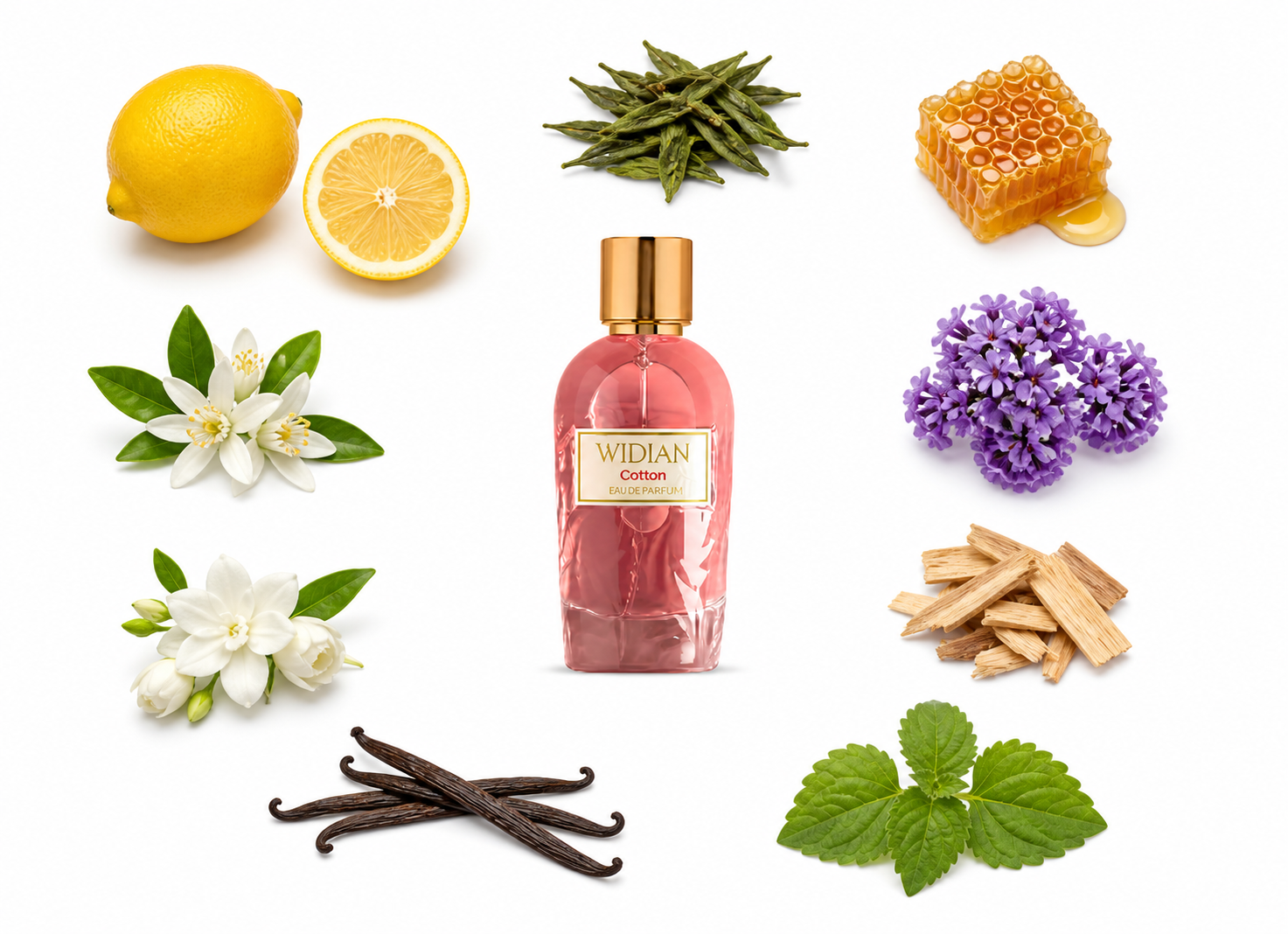 Widian Cotton Eau de Parfum with scent notes
