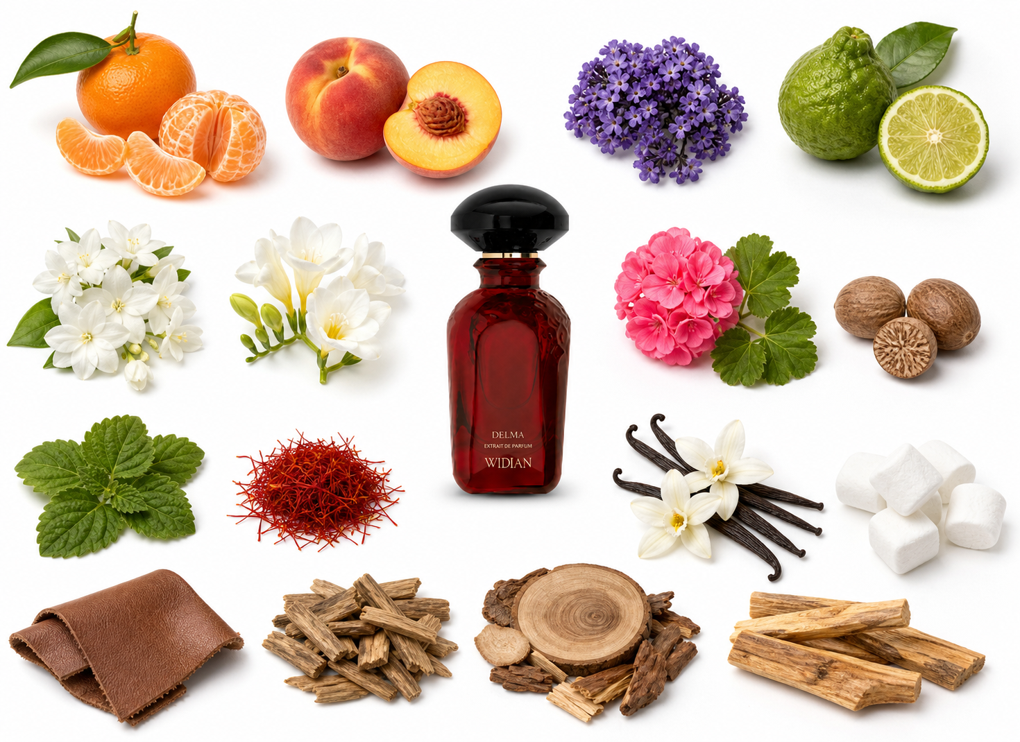 Widian Delma Extrait de Parfum with scent notes
