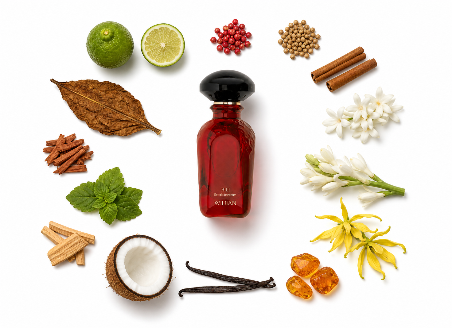 Widian Hili Extrait de Parfum with scent notes