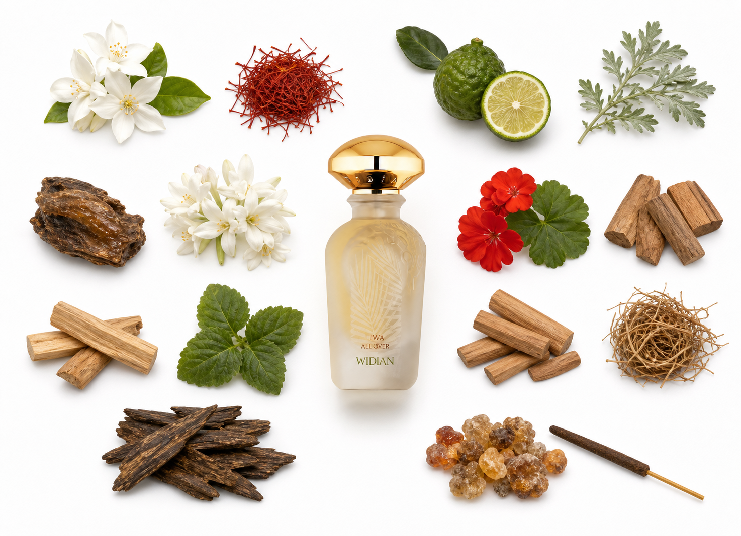 Widian Liwa All Over Spray 50 ml with scent notes