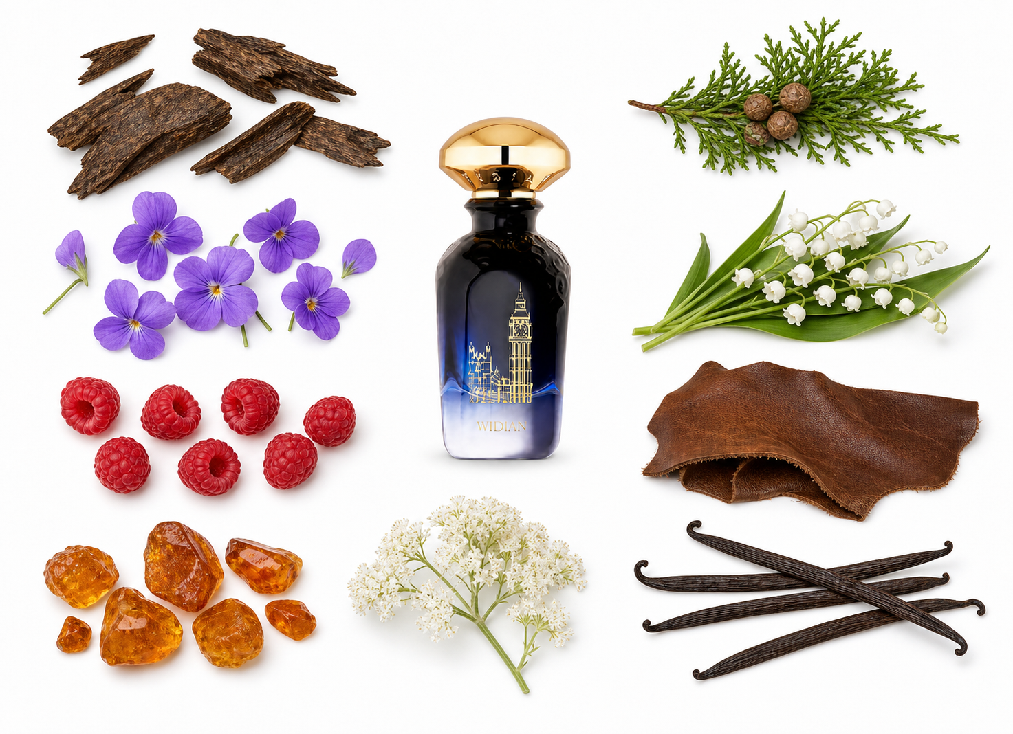 Widian London Eau de Parfum with scent notes