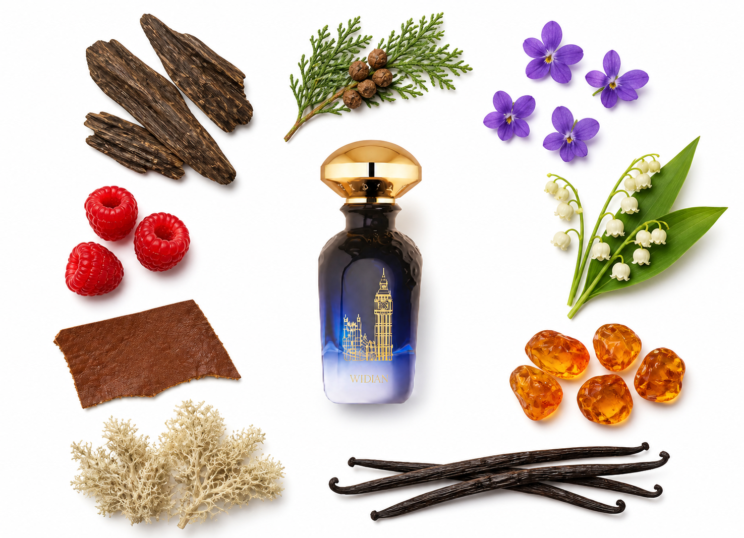 Widian London Extrait de Parfum with scent notes