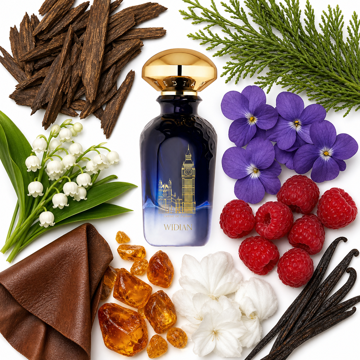 Widian London Extrait de Parfum with scent notes