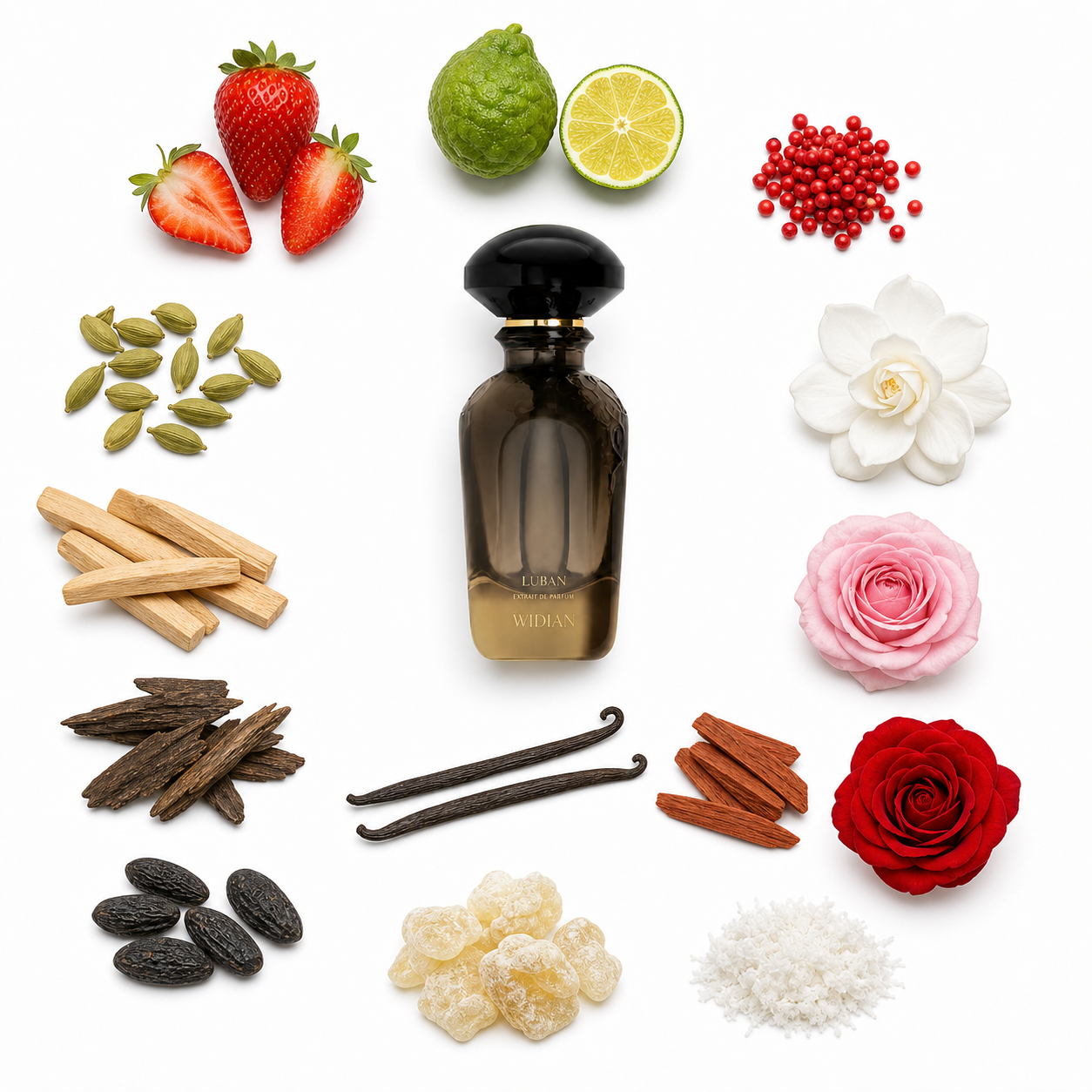 Widian Luban Extrait de Parfum with scent notes