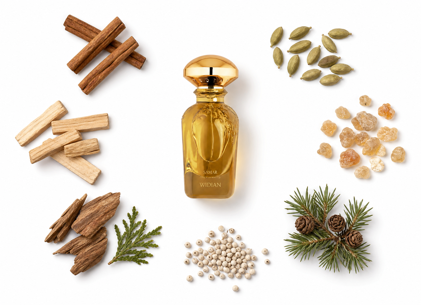 Widian Samar Extrait de Parfum with scent notes