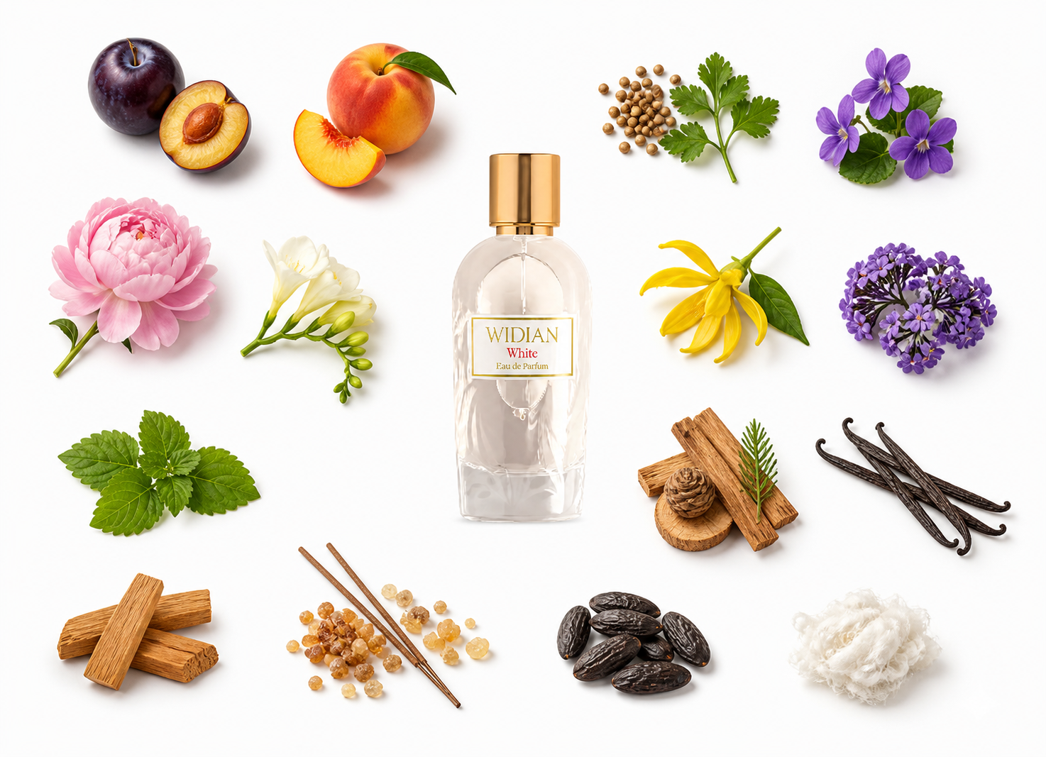 Widian White Eau de Parfum with scent notes