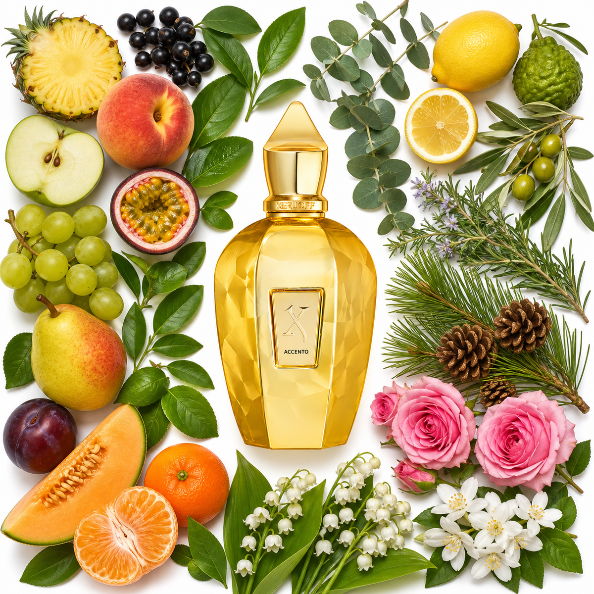 Xerjoff Accento Overdose with scent notes