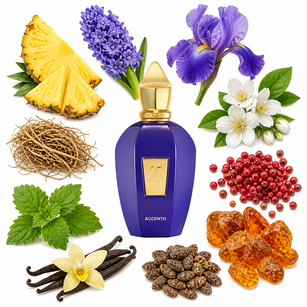 Xerjoff Accento with scent notes