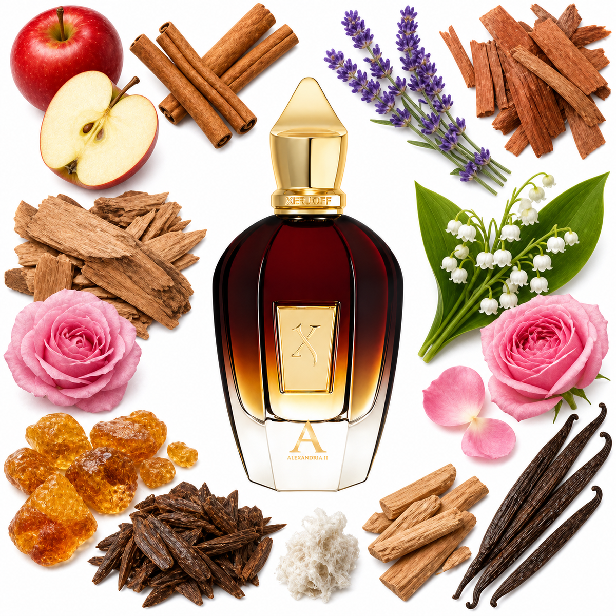 Xerjoff Alexandria II with scent notes