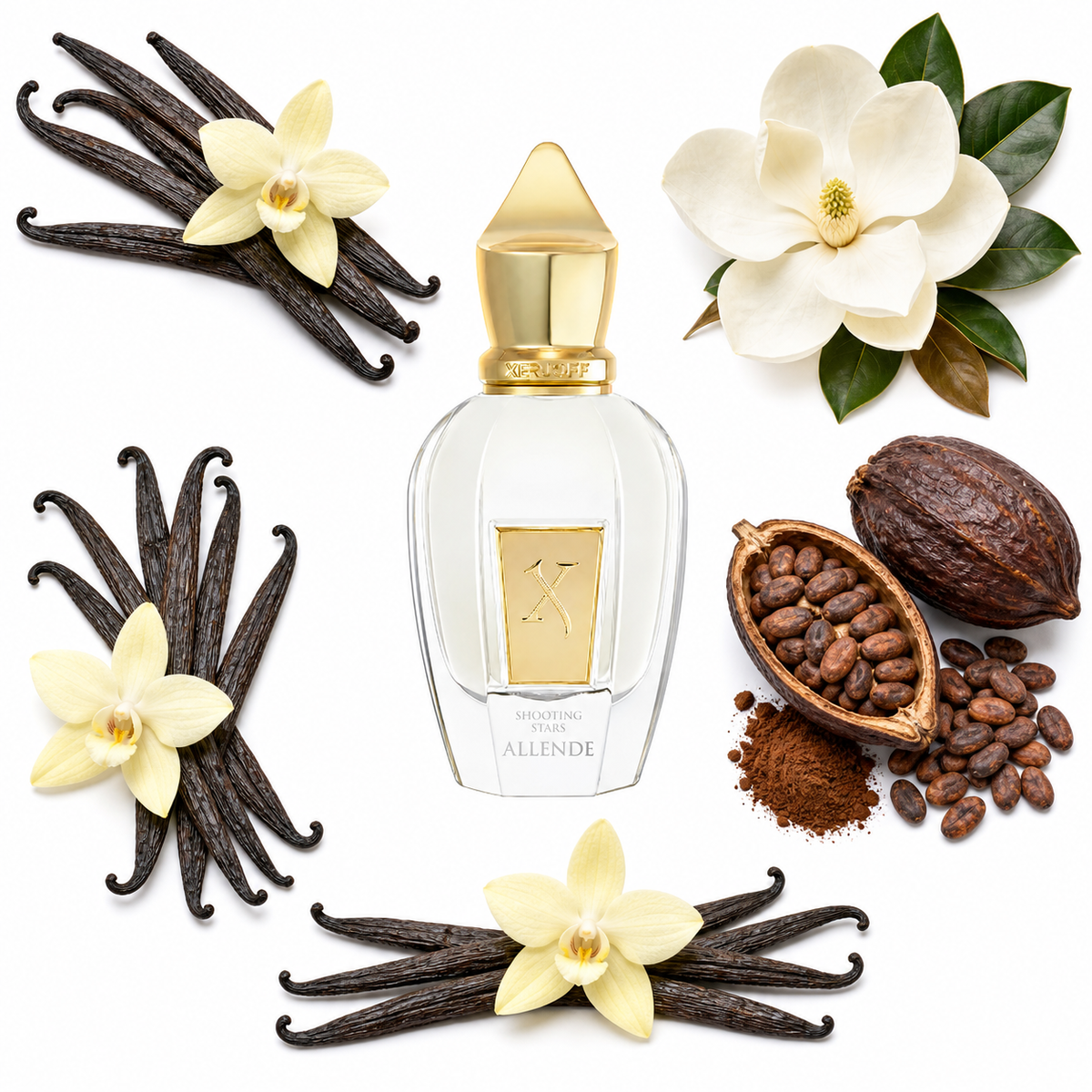 Xerjoff Allende with scent notes