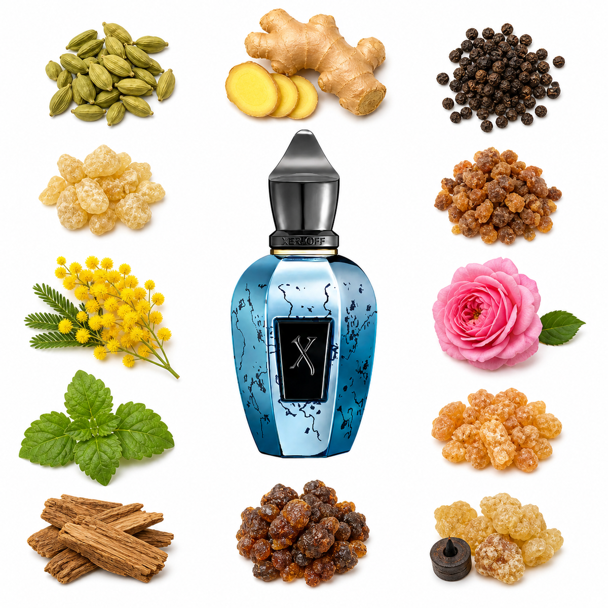 Xerjoff Blend Groove Xcape 50 ml with scent notes