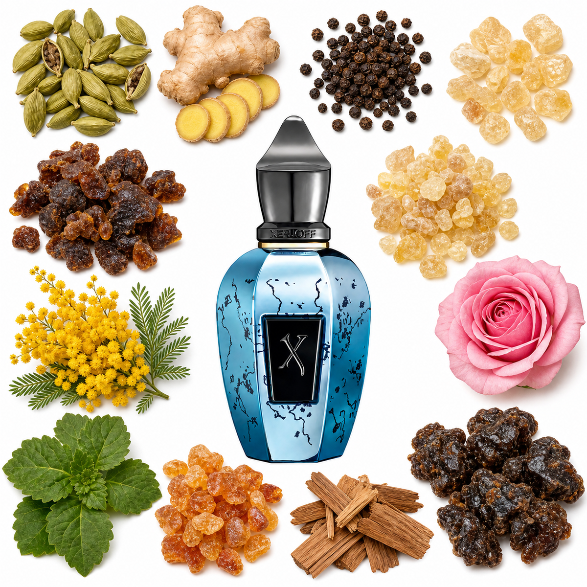 Xerjoff Blend Groove Xcape with scent notes