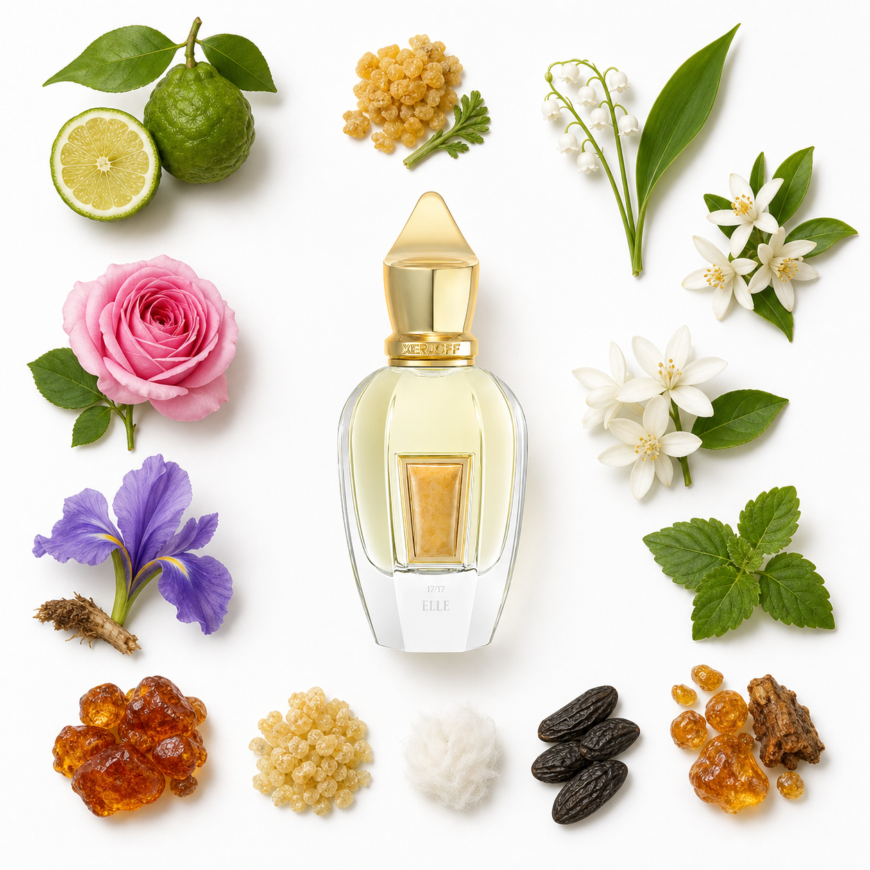Xerjoff Elle 50 ml with scent notes