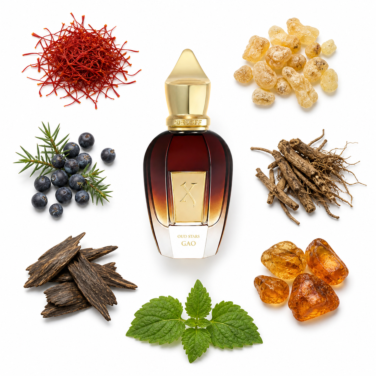 Xerjoff Gao 50 ml with scent notes