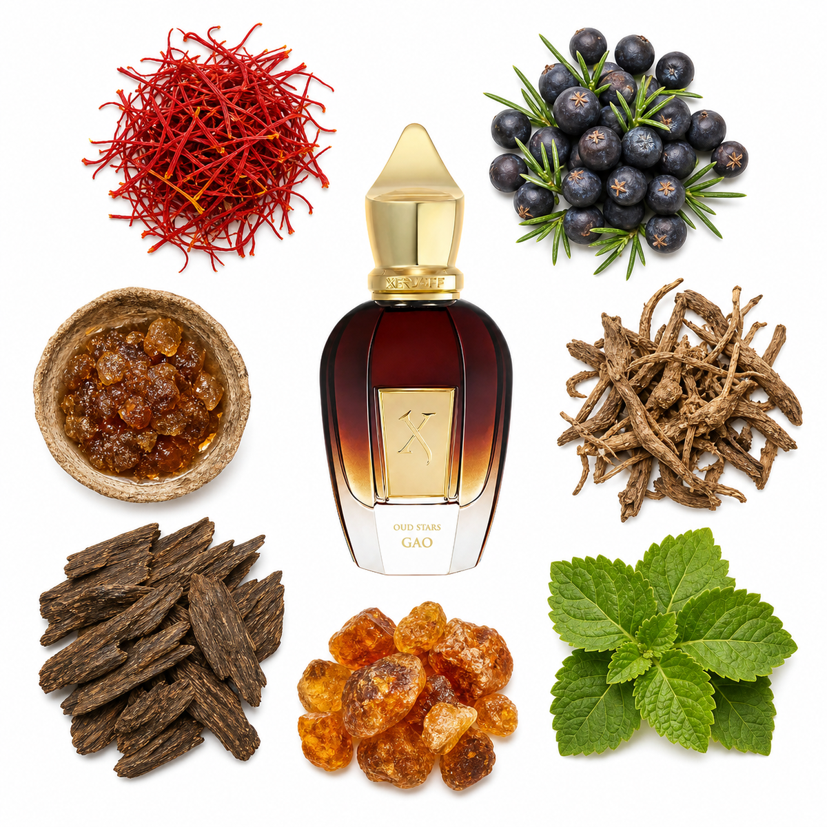 Xerjoff Gao with scent notes