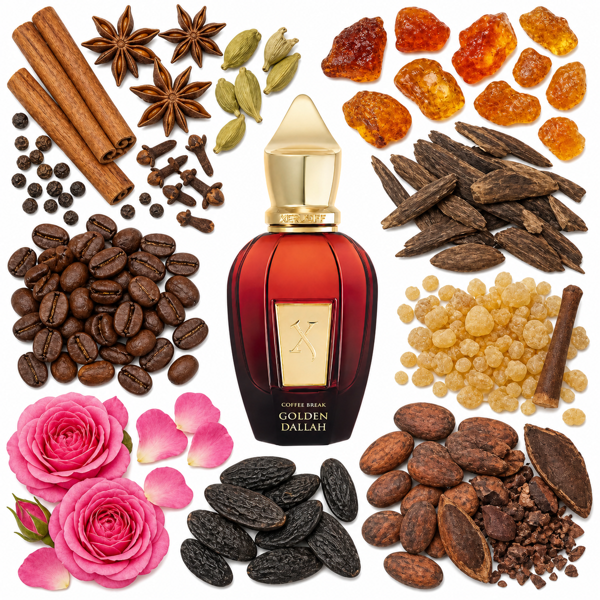 Xerjoff Golden Dallah with scent notes
