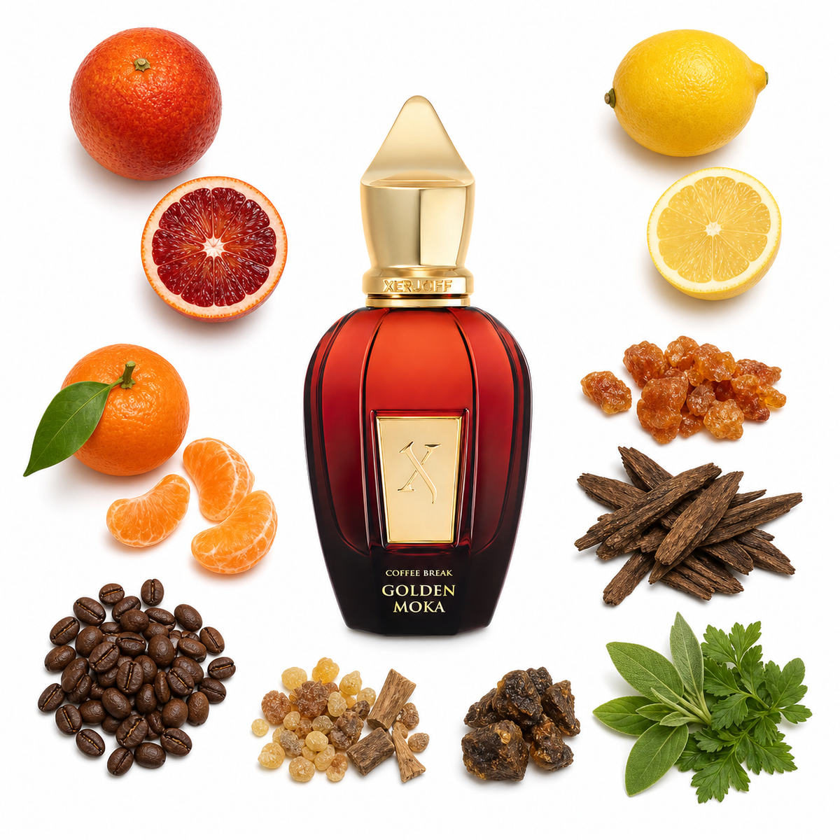 Xerjoff Golden Moka 50 ml with scent notes