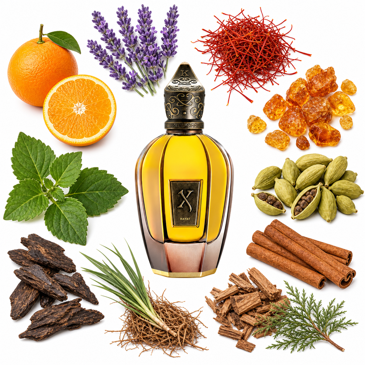 Xerjoff Hayat with scent notes