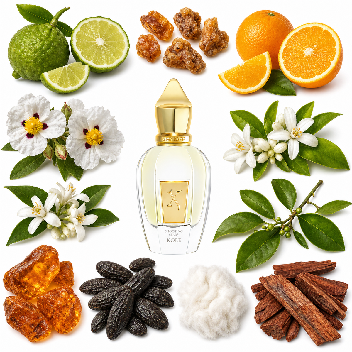 Xerjoff Kobe with scent notes