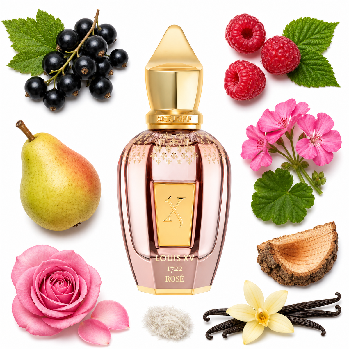 Xerjoff Louis XV 1722 Rosé Eau de Parfum with scent notes