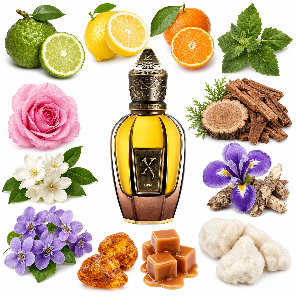 Xerjoff Luna with scent notes
