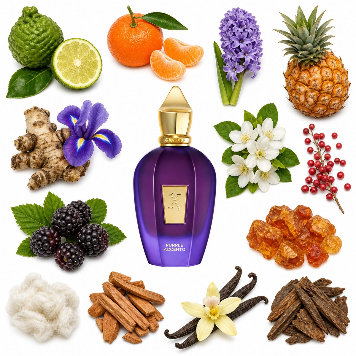 Xerjoff Purple Accento with scent notes
