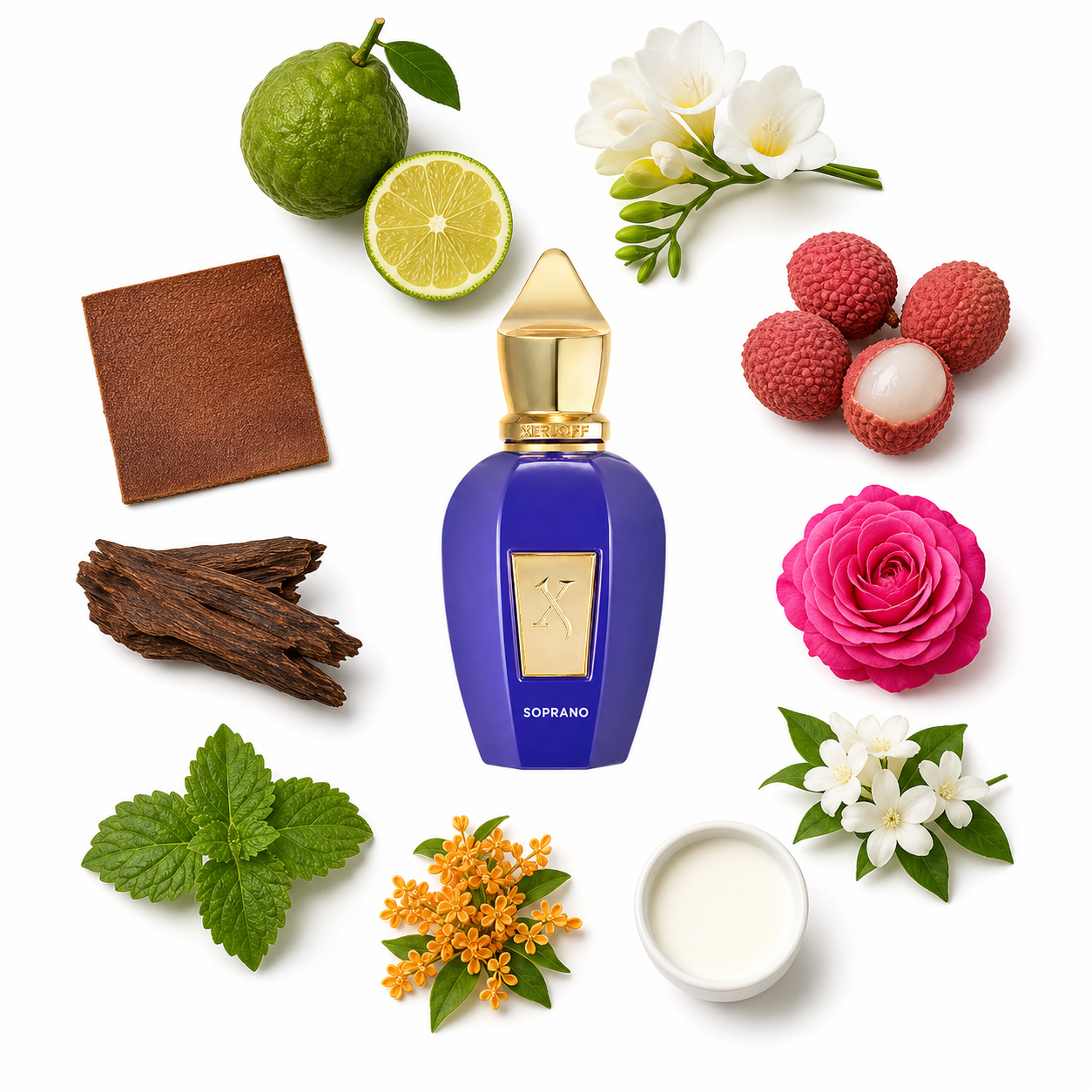 Xerjoff Soprano 50 ml with scent notes