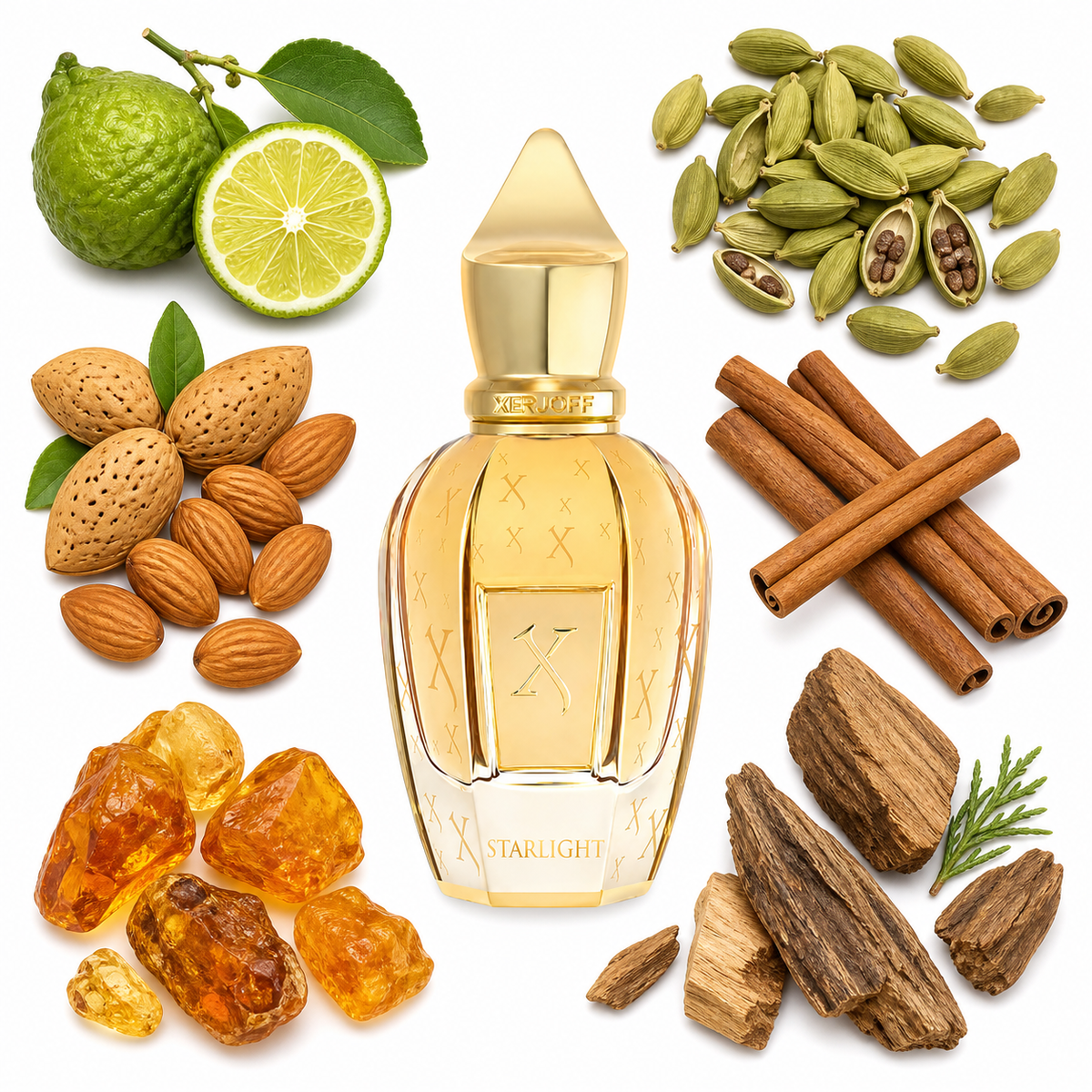 Xerjoff Starlight with scent notes