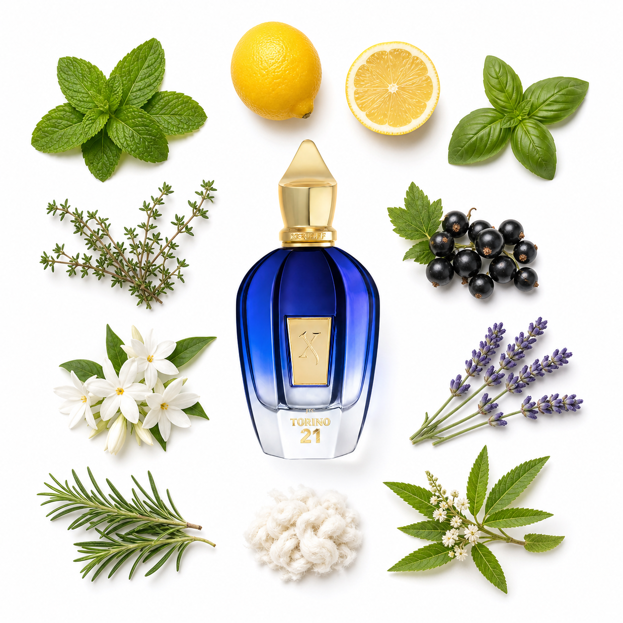 Xerjoff Torino 21 Eau de Parfum 100 ml with scent notes