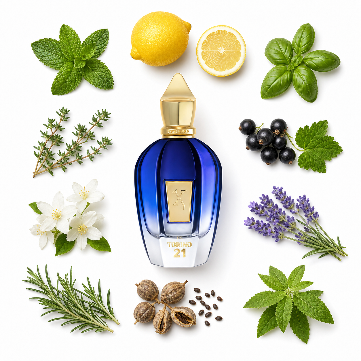 Xerjoff Torino 21 Eau de Parfum 50 ml with scent notes