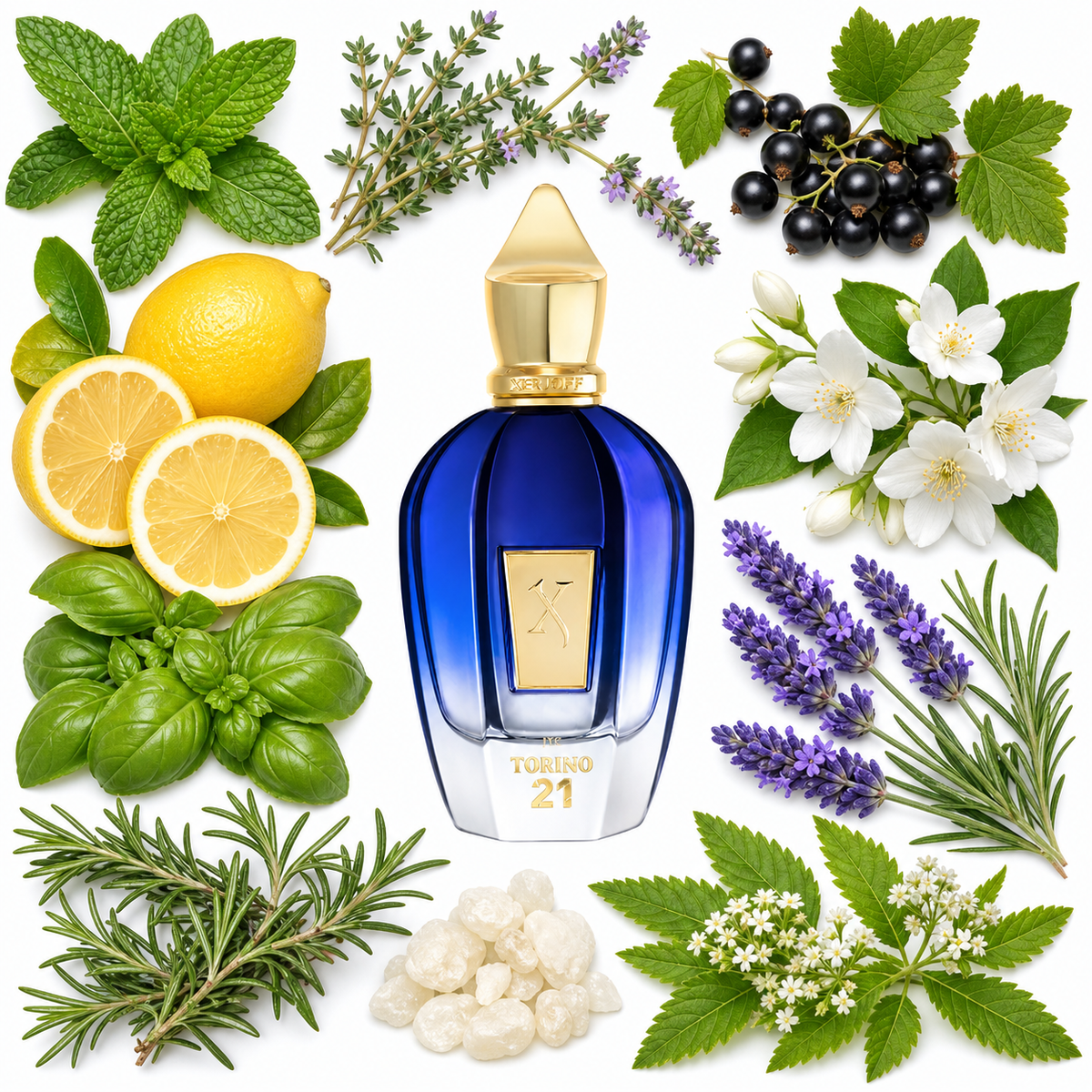 Xerjoff Torino 21 Eau de Parfum with scent notes