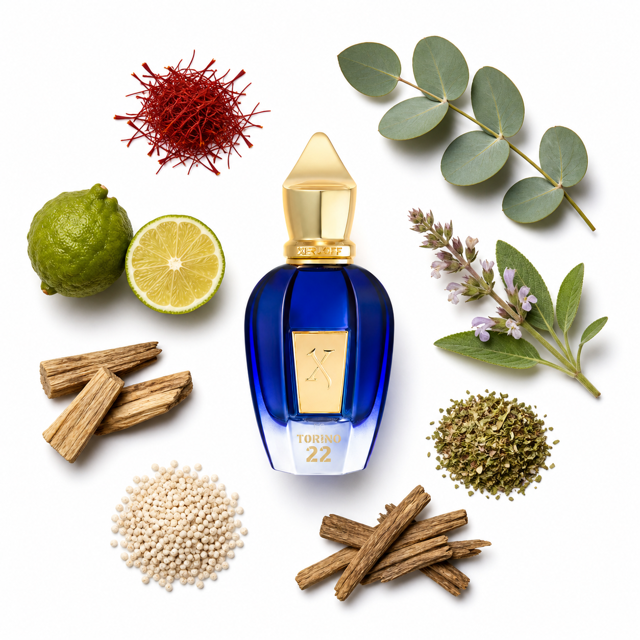 Xerjoff Torino 22 50 ml with scent notes