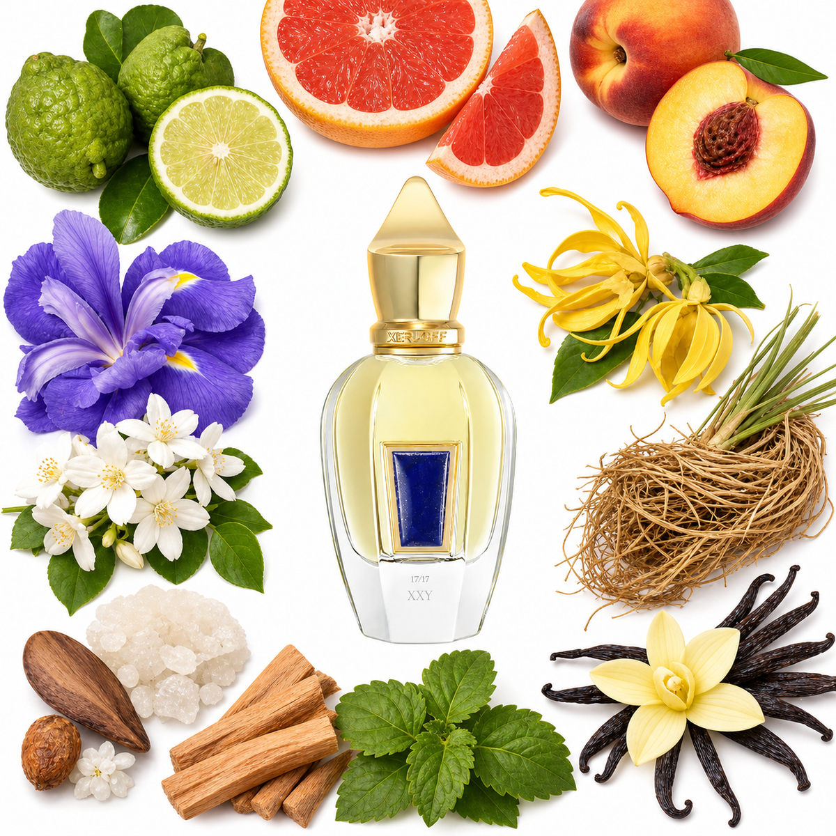 Xerjoff XXY with scent notes