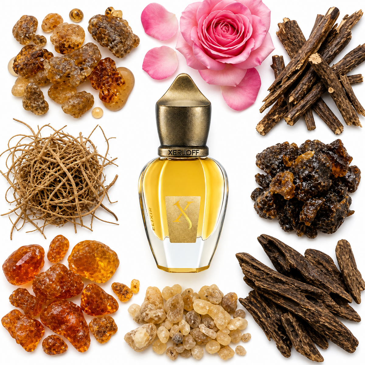 Xerjoff Xjk Elixir Extract with scent notes