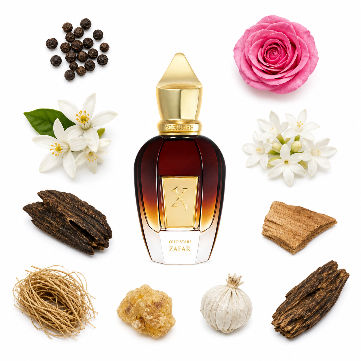 Xerjoff Zafar 50 ml with scent notes