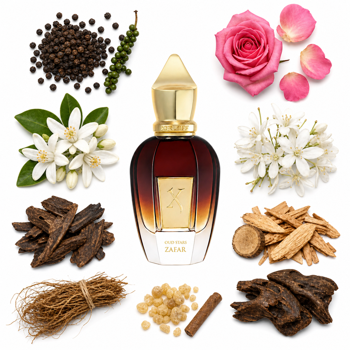 Xerjoff Zafar with scent notes