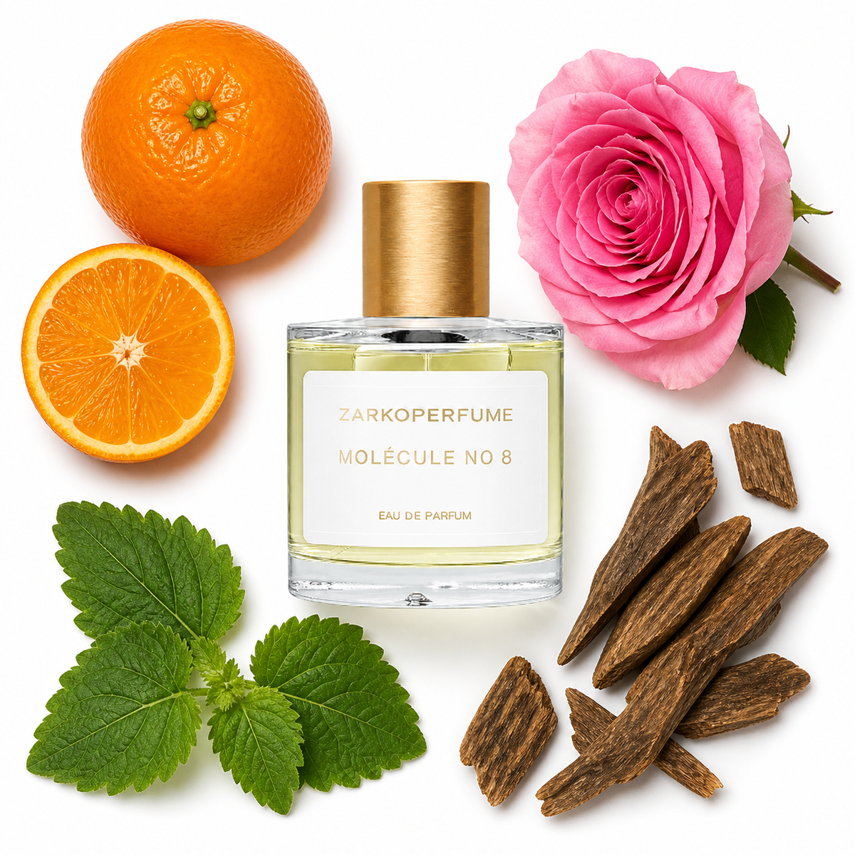 Zarkoperfume Molécule No.8 Eau de Parfum with scent notes