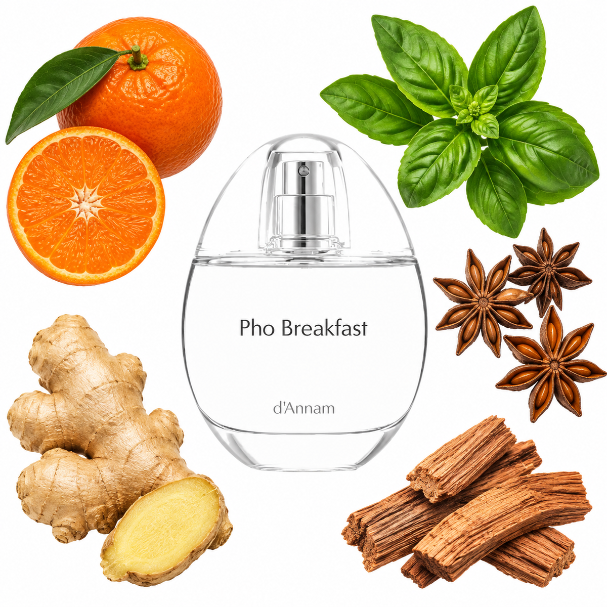 d'Annam Pho Breakfast Eau de Parfum with scent notes