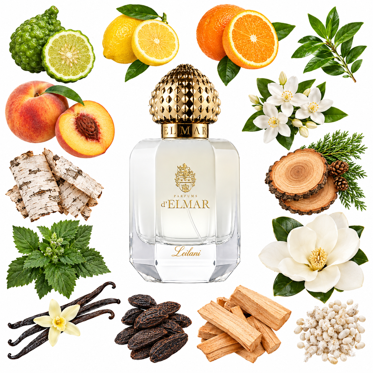 d'Elmar LEILAN Extrait de Parfum with scent notes